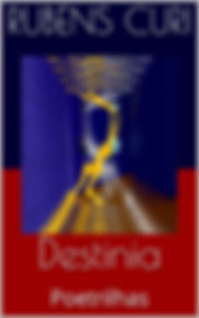 Livro Destinia - Rubens Curi