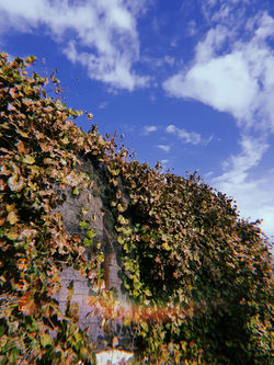 20191116_013215_0