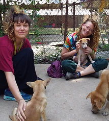 Poppy and Tilda with the puppies