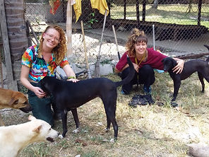 Poppy and Tilda petting 2 black dogs
