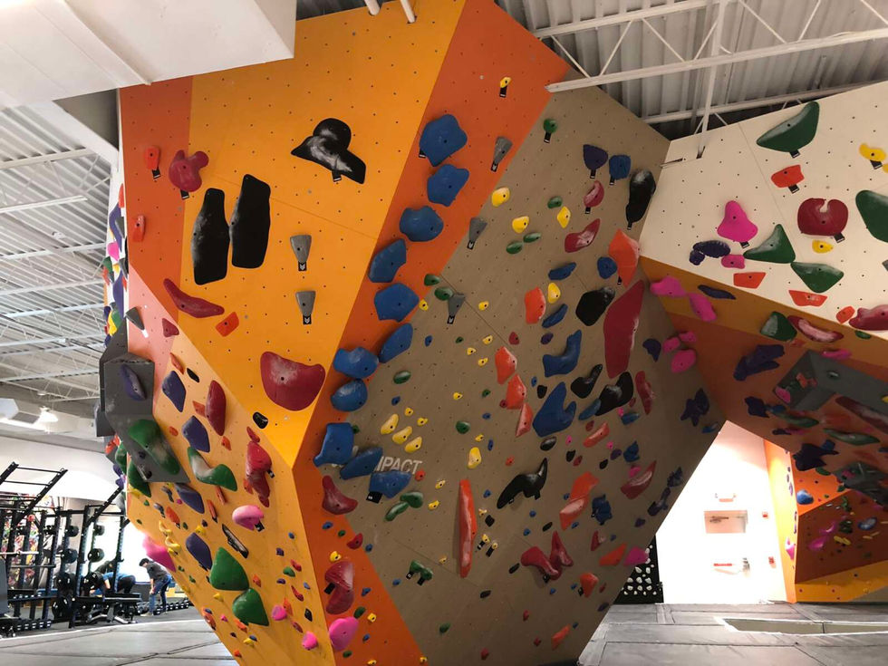 Bouldering Wall
