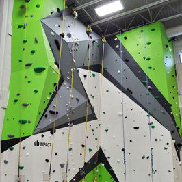 Institutional (Universities, Colleges)