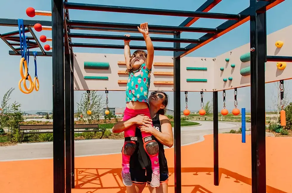 Parks & Playground Boulders