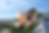 PACKSHOT POUR DES BOUTEILLES D’ALCOOL POUR LA DISTILLERIE DE NAMUR