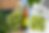 MONTAGE PHOTOSHOP POUR LE PACKSHOT D'UNE BIÈRE AU HOUBLON LOCAL DE GEMBLOUX