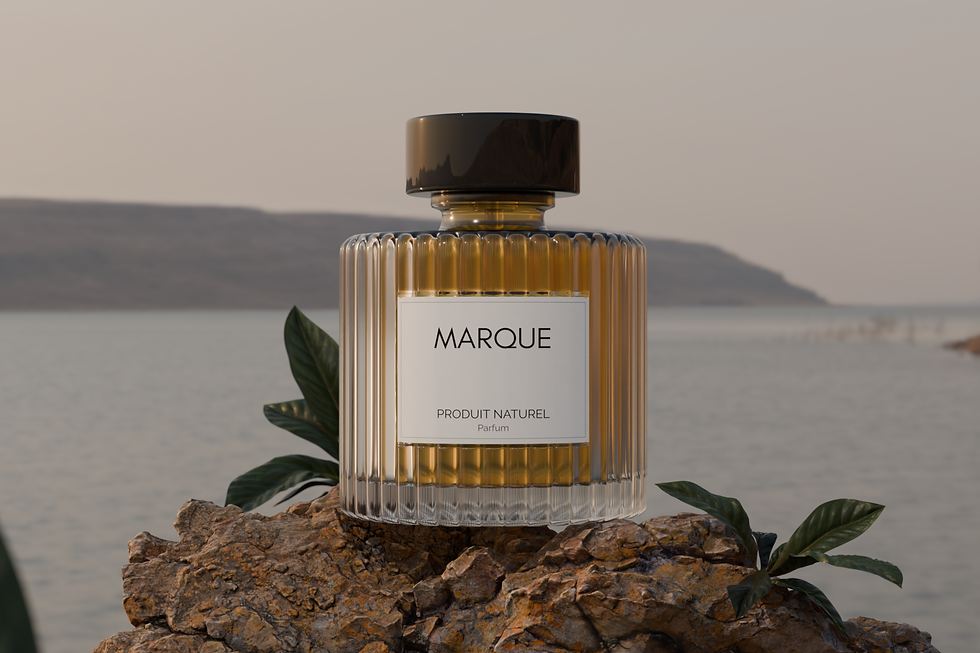 RENDU 3D D’UN PACKSHOT DE PARFUMERIE