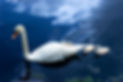 2024.05.04_05 Edited.-4.jpg