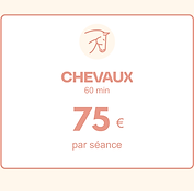 Tarification chevaux x2