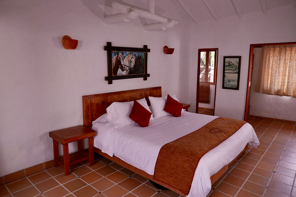 Junior Suite Con Acceso A Terraza
