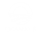 Obama_logo_(18216890)_.png