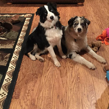 gus &skye.jpg