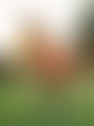 Instagram Model Sandritta Collections - The Humor Stop