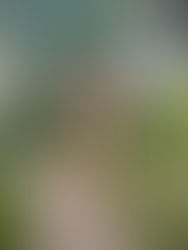 Evan Bialosuknia Becomes First Transgender Homecoming Queen Of Orlando School