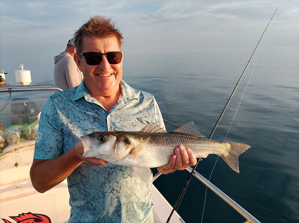 Brighton Inshore Fishing - Catch report