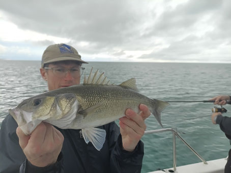 Brighton Inshore Fishing - Catch report 19th July 2025