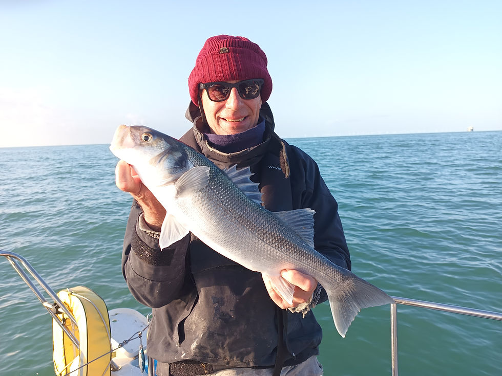 Brighton Inshore Fishing - Catch report 13th April 2026