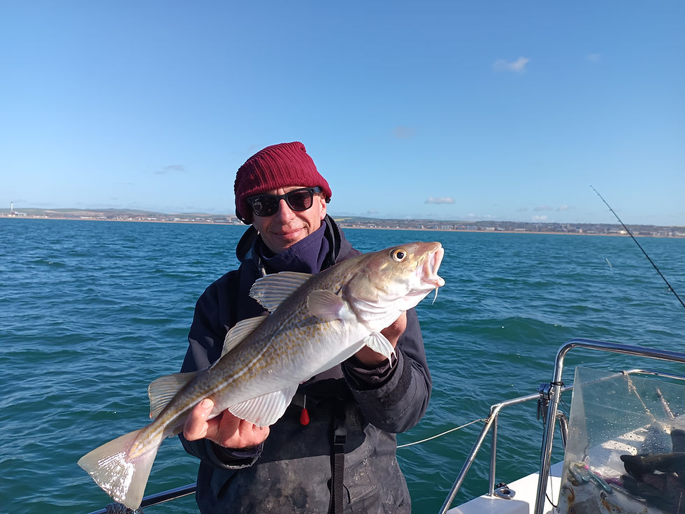 Brighton Inshore fishing - catch report 18th April 2026