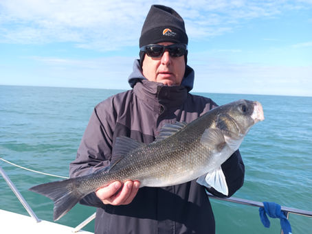 Brighton Inshore Fishing - Catch report 16th May 2026