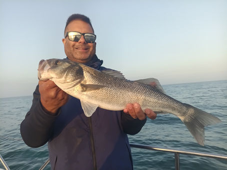 Brighton Inshore Fishing- Catch report 26th July 2025