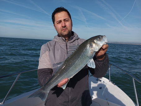 Brighton Inshore Fishing - Catch report 21st March 2026
