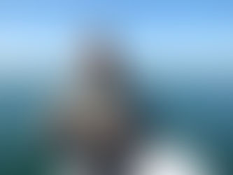 Brighton Inshore Fishing - Catch report 5th July 2022