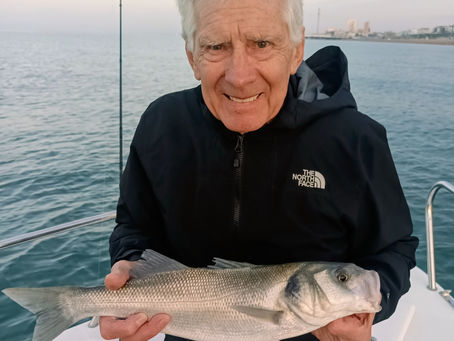 Brighton Inshore Fishing - Catch report 23rd August 2026