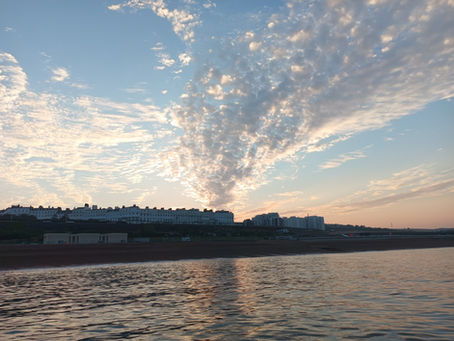 Brighton Inshore Fishing - catch report 19th June 2026