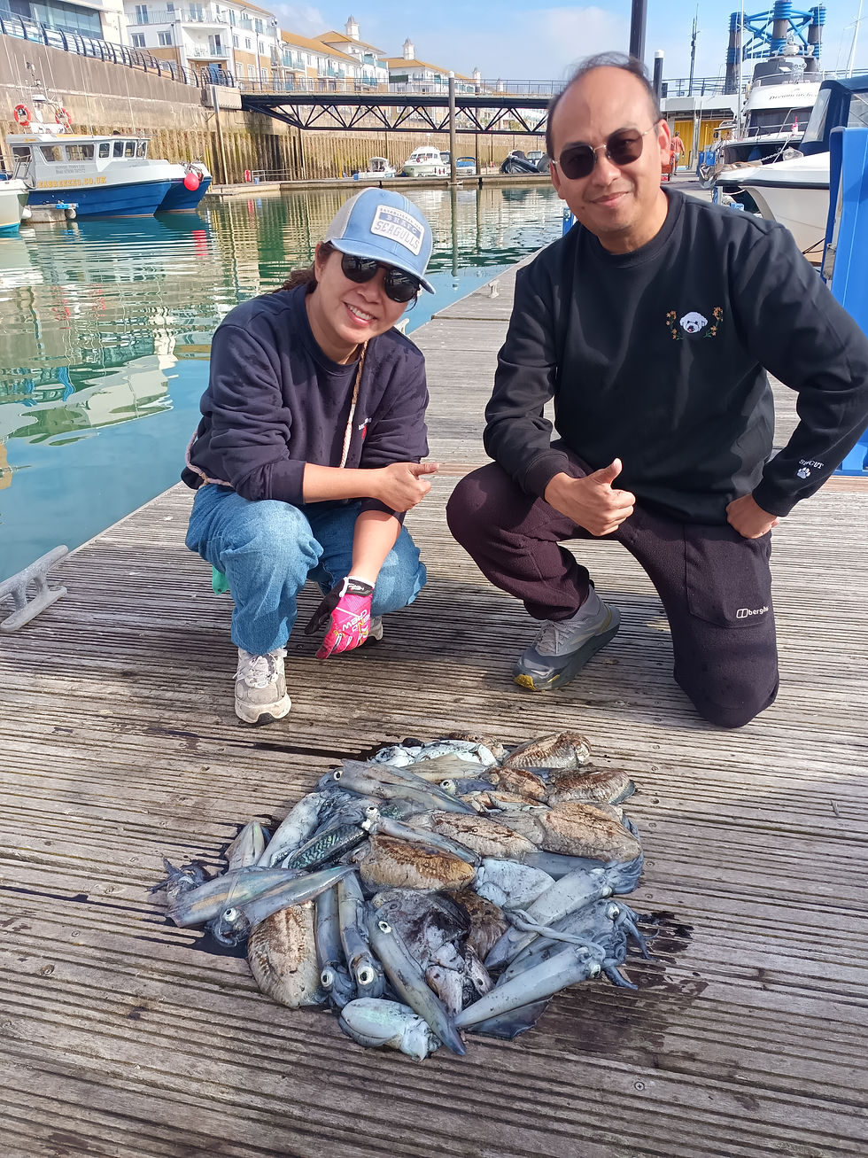 Brighton Inshore Fishing - Catch report 6th October 2026