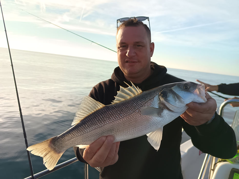 Brighton Inshore Fishing - Catch report 5th October 2026