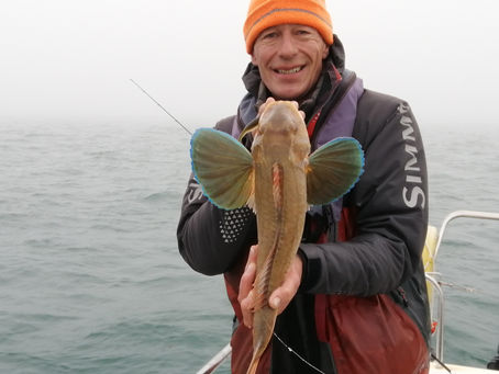 Brighton Inshore Fishing - Catch report 30th November 2020