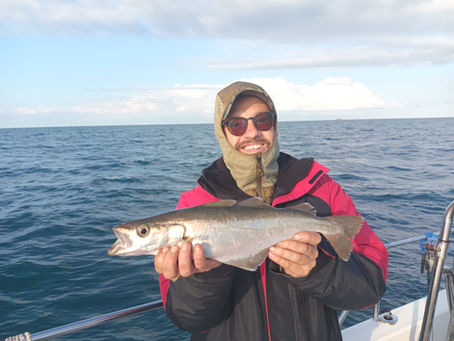 Brighton Inshore Fishing - Catch report 12th May 2026