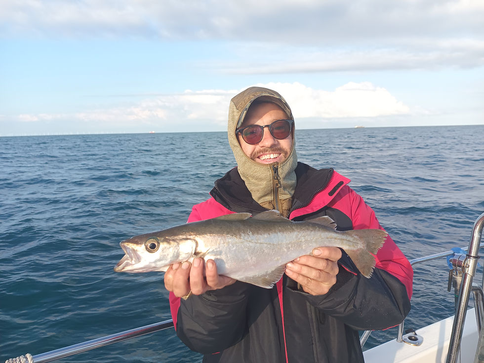 Brighton Inshore Fishing - Catch report 12th May 2026