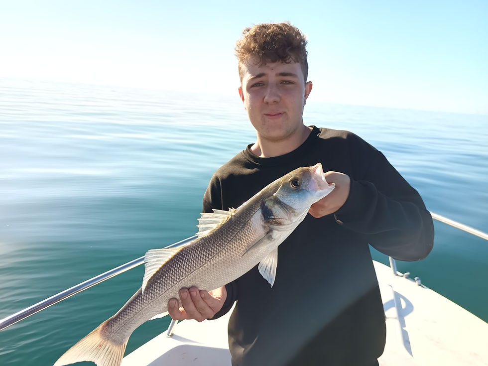 Brighton Inshore Fishing - Catch report 4th October 2026