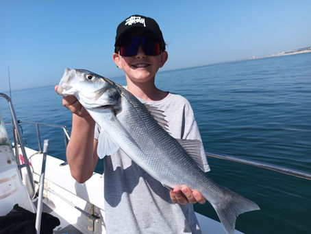 Brighton Inshore Fishing - Catch report 25th May 2026