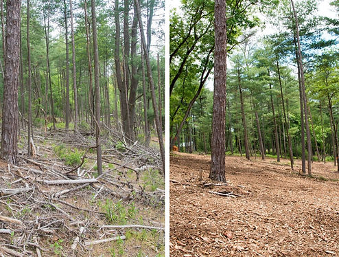 before ad after
