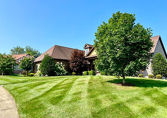 LAWN MAINTENANCE