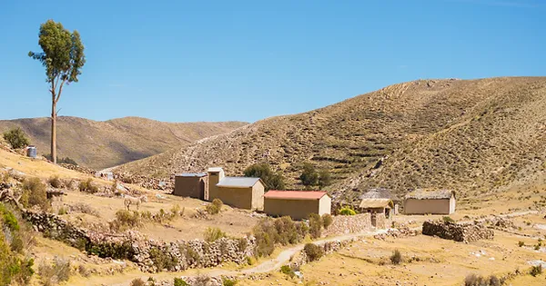 Aymara 1.webp