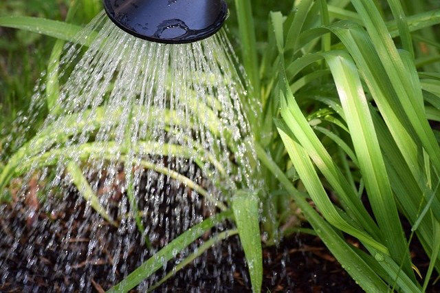 solar irrigation