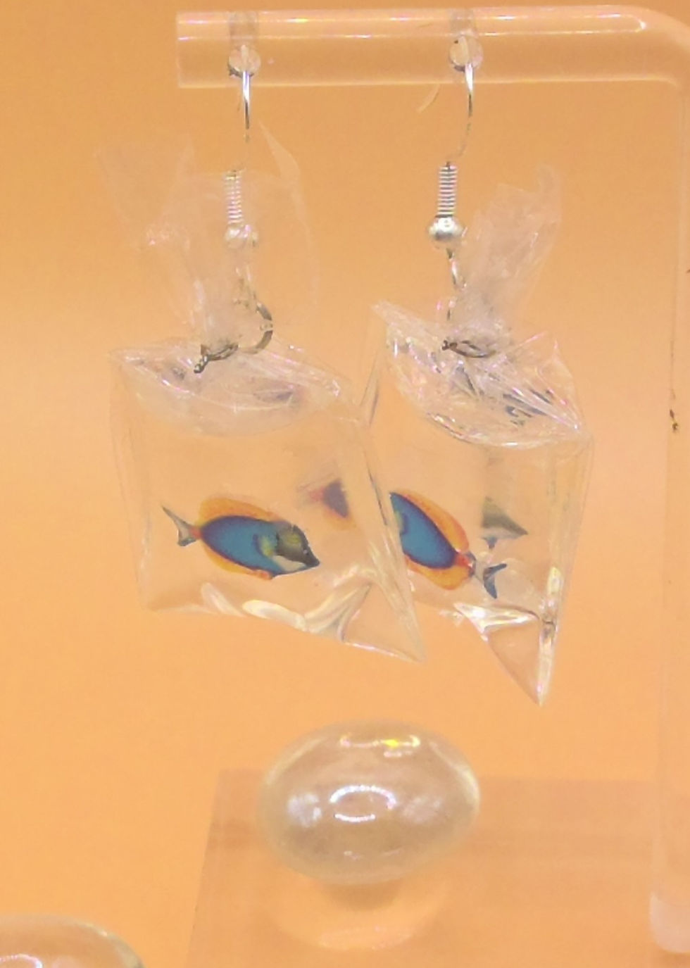 Thumbnail: Fish in a bag