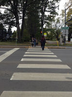 IMG_7986.jpeg