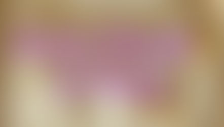 Courts Answer To Praises