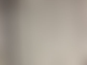 Faucone de Magneu, Dame de Biens et de Commandement en Forez († 1311)