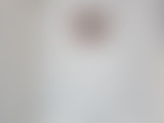 Jean MITTE Donat de Chevrières (page 6)