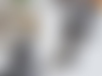 ラリーサの子猫達