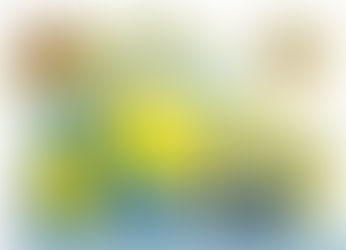 They Don't Do Winter in Madeira