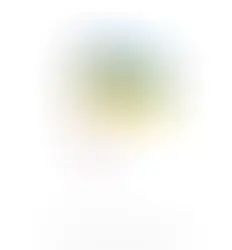 Ukraine, a Penguin and a Rant