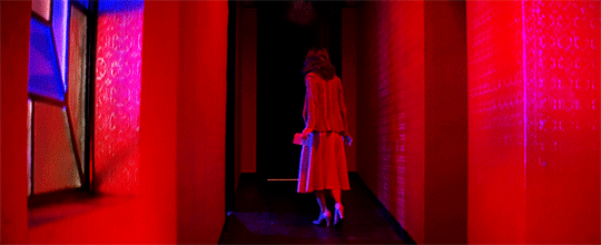 giphy (4).gif