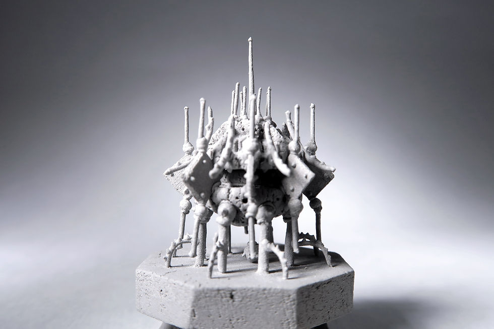 einsect (7)