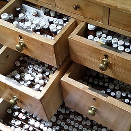 Conscious Health & Homeopathy Irma Vocht copyright