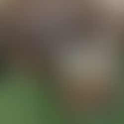 Tattered Cover Sold To Barnes & Noble